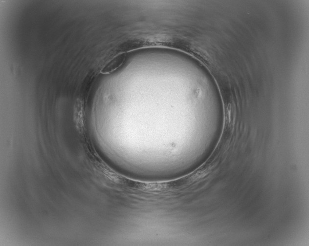 X0000074931251200609221630