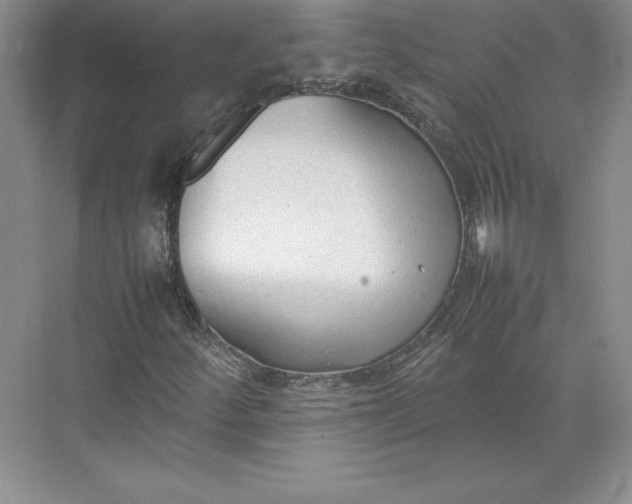 X0000074931252200609221630