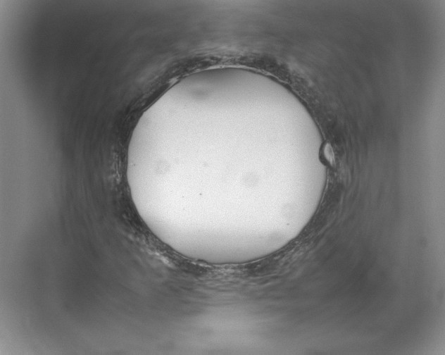 X0000074931253200609221630