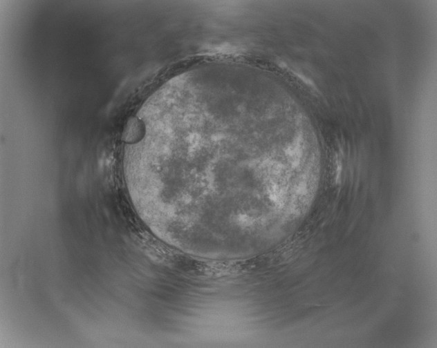 X0000074931254200609221630