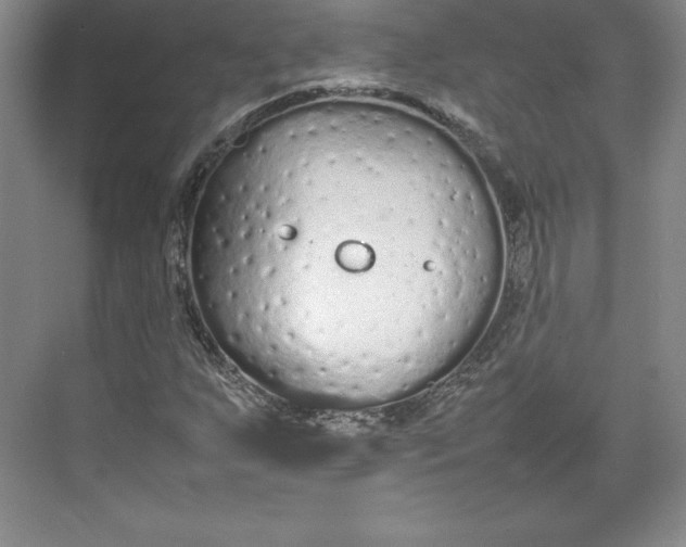 X0000074931255200609221630