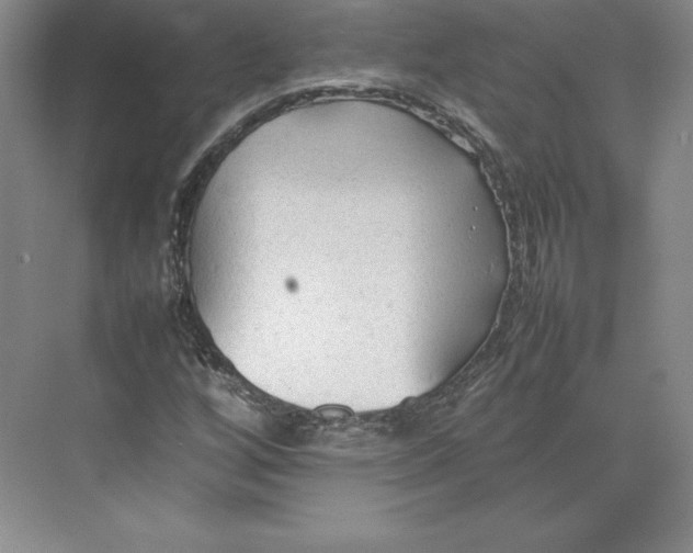 X0000074931256200609221630