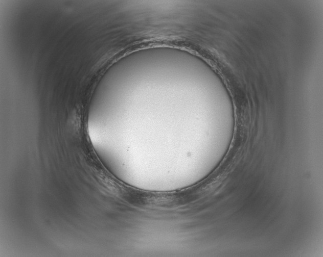 X0000074931257200609221630