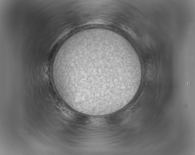 X0000074931258200609221630