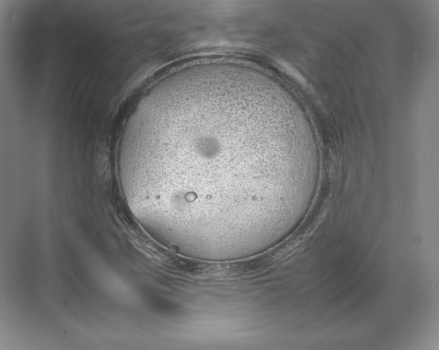 X0000074931259200609221630