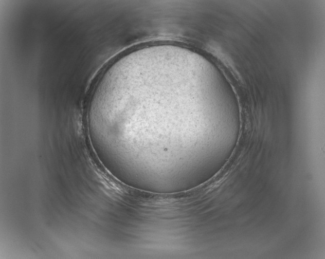 X0000074931260200609221630