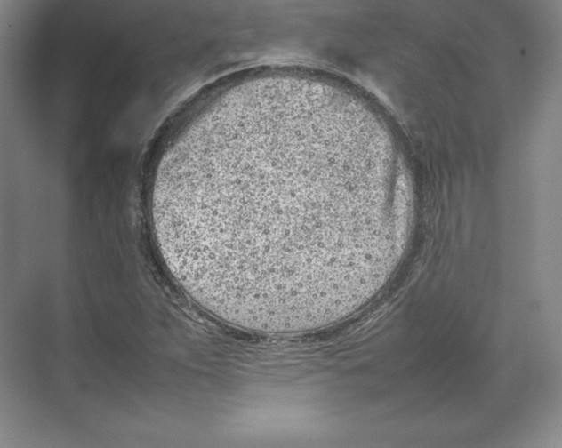 X0000074931263200609221630