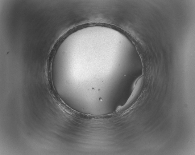 X0000074931264200609221630