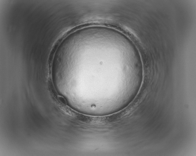 X0000074931267200609221630