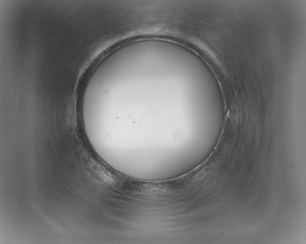 X0000074931270200609221629