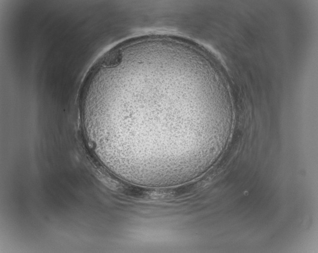 X0000074931271200609221629