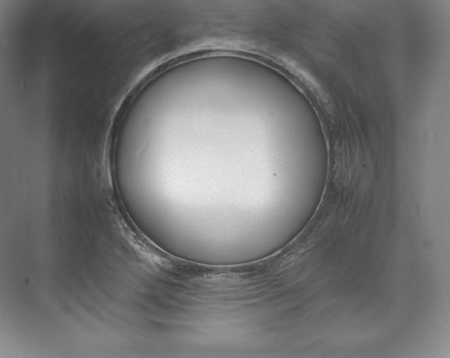 X0000074931272200609221629