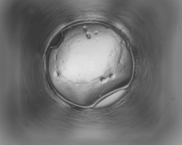 X0000074931275200609221629