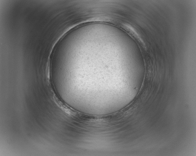 X0000074931276200609221629