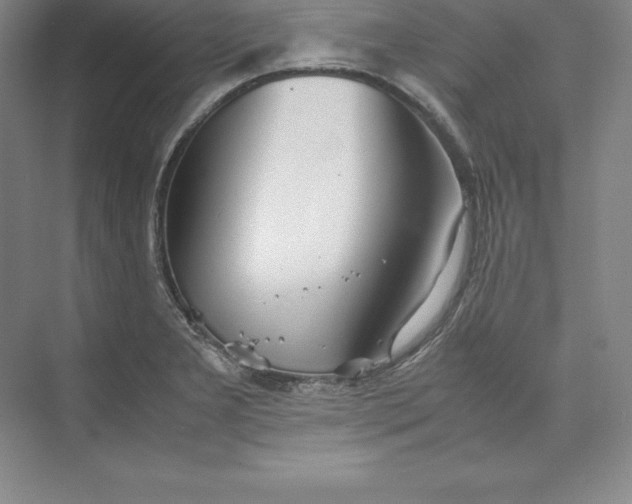 X0000074931277200609221629