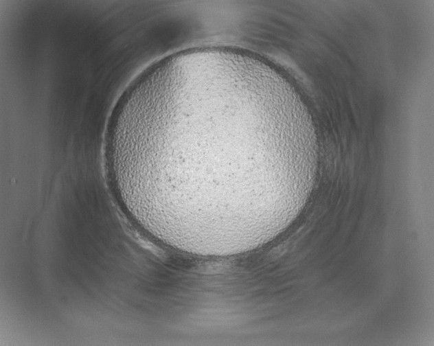 X0000074931278200609221629