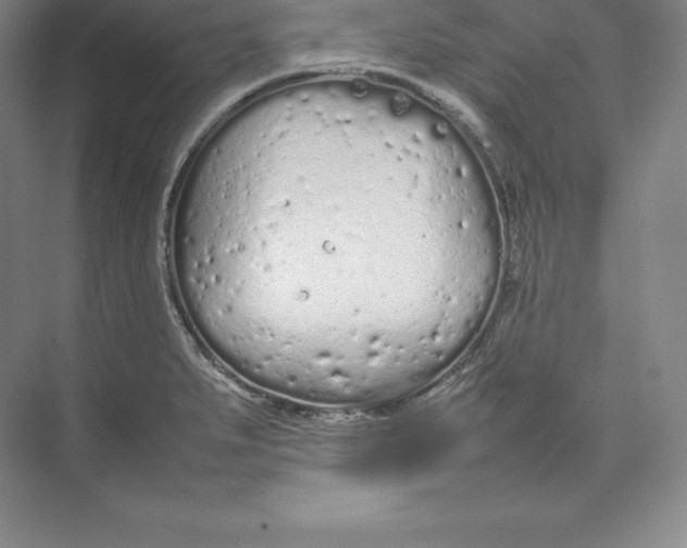 X0000074931279200609221629