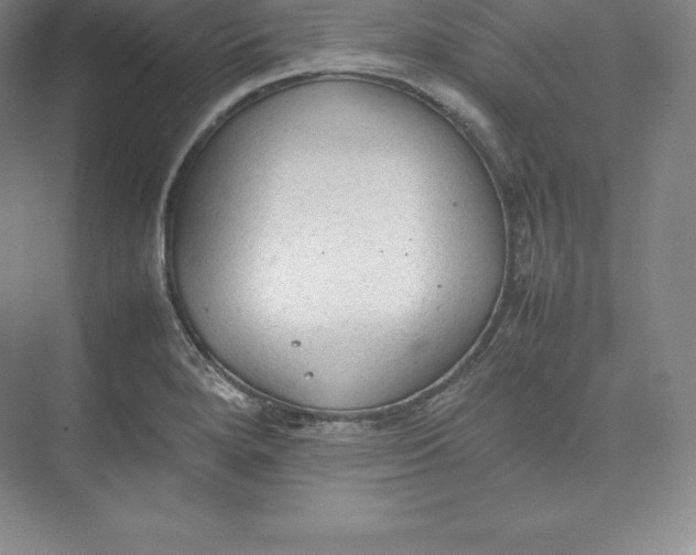 X0000074931280200609221629