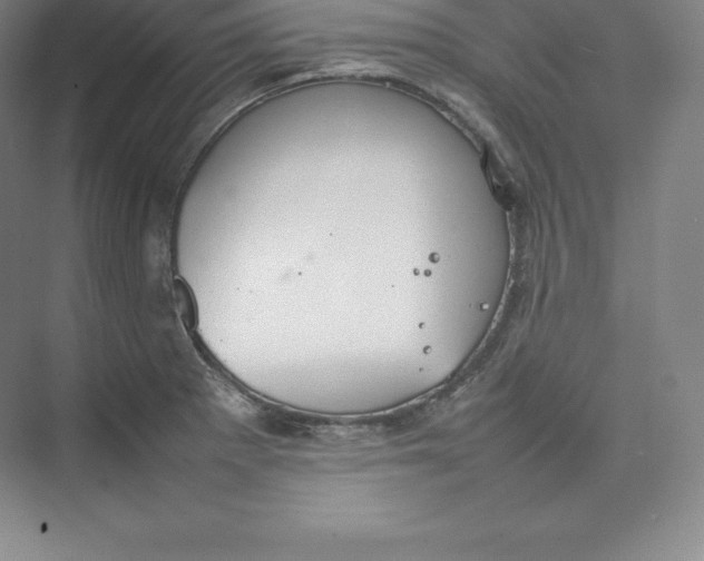 X0000074931281200609221629