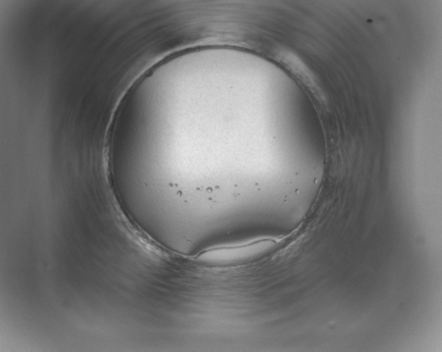 X0000074931284200609221629