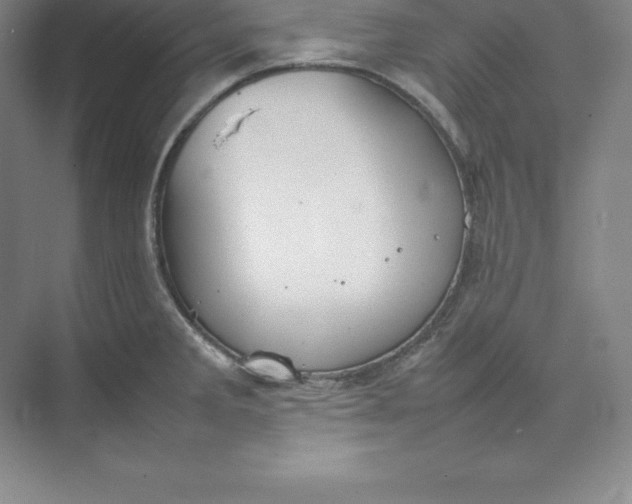 X0000074931285200609221629