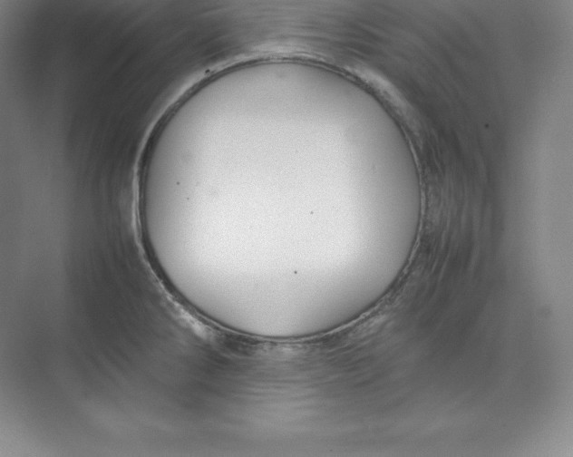 X0000074931286200609221629