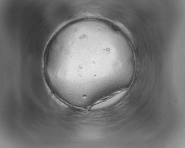 X0000074931287200609221629