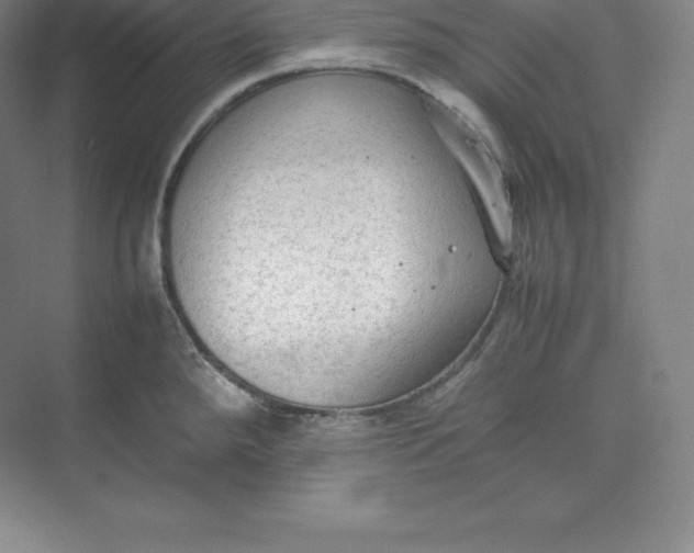 X0000074931288200609221629