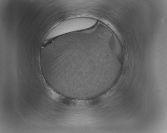 X0000074931289200609221629