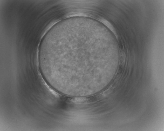 X0000074931290200609221629