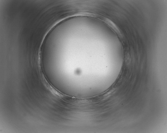 X0000074931292200609221629