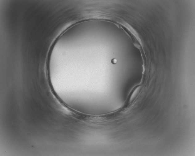 X0000074931293200609221629