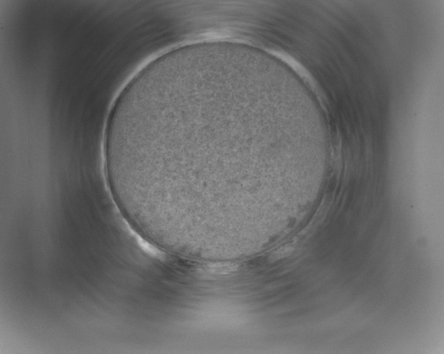 X0000074931294200609221629