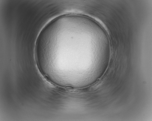 X0000074931295200609221629