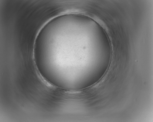 X0000074931296200609221629