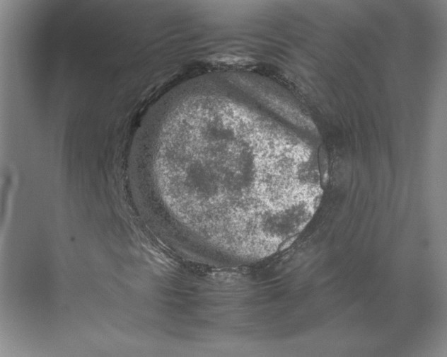 X0000074931297200609221628