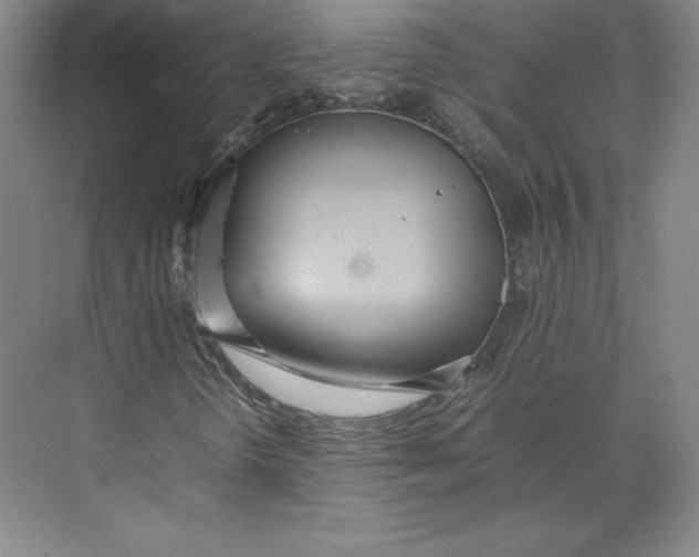 X0000074931298200609221628