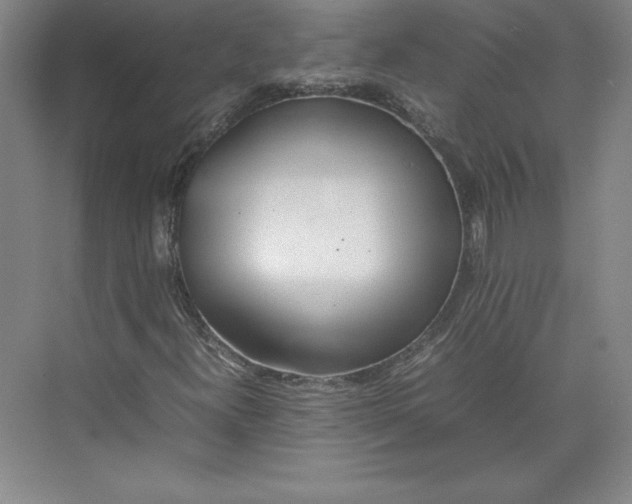 X0000074931300200609221628