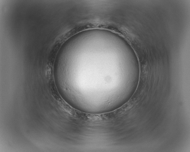 X0000074931302200609221628