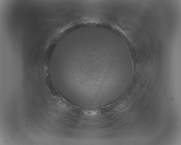 X0000074931303200609221628