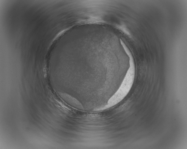 X0000074931306200609221628