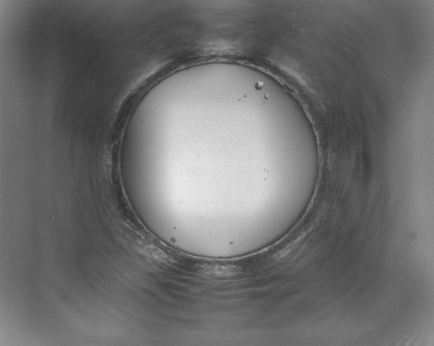 X0000074931309200609221628