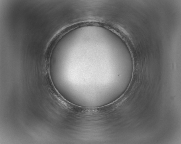 X0000074931310200609221628