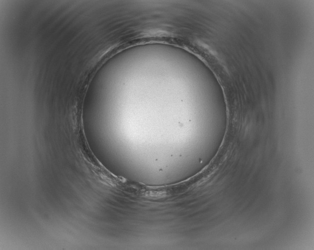 X0000074931313200609221628