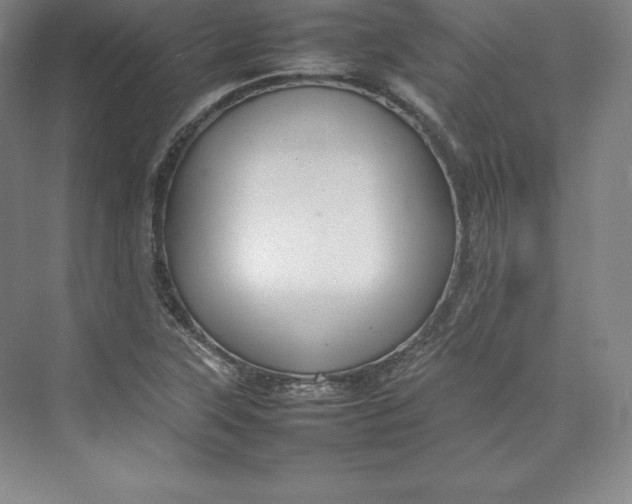 X0000074931315200609221629