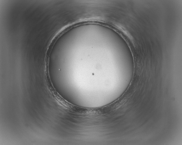 X0000074931316200609221629