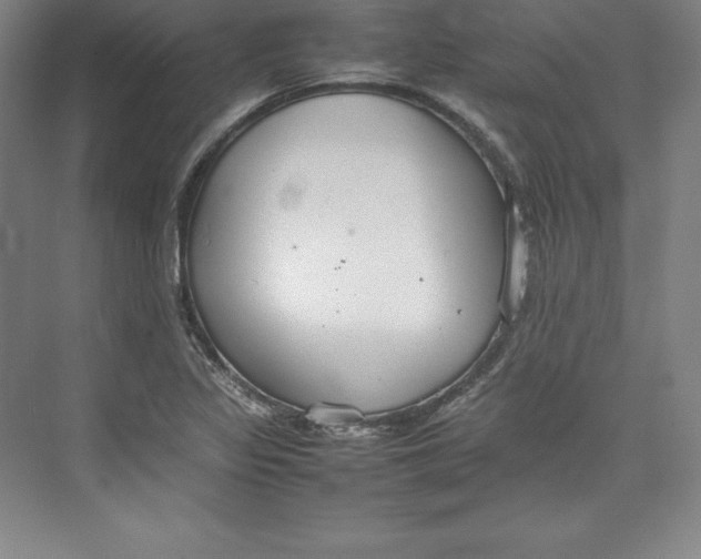 X0000074931317200609221629