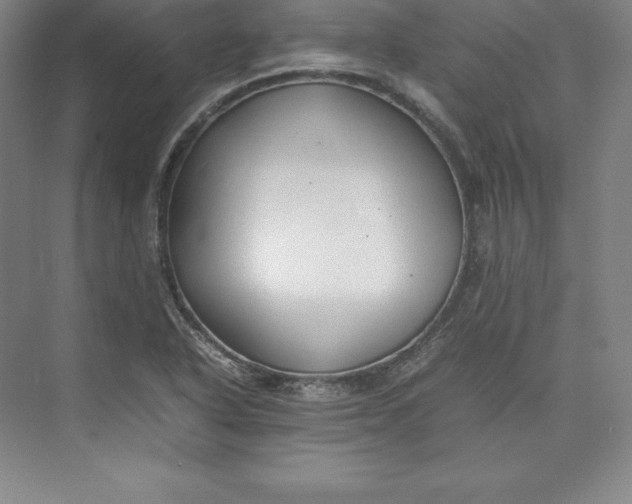 X0000074931318200609221629