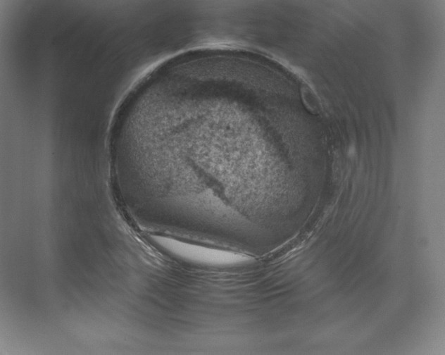 X0000074931319200609221629