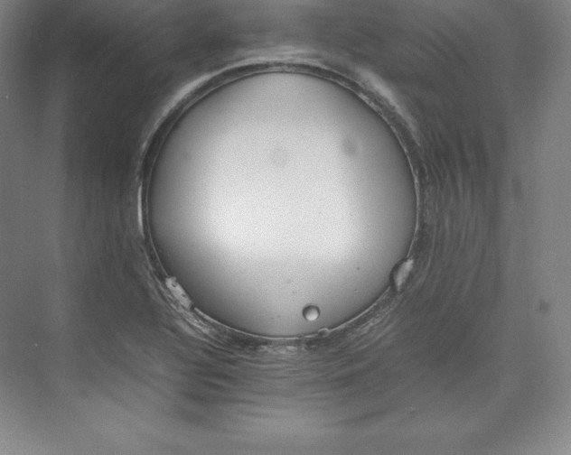 X0000074931320200609221629